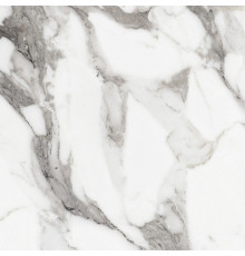 Origines De Rex Argent Matte 60x60