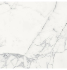 Origines De Rex Blanc Matte 60x60