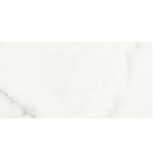 Origines De Rex Blanc Matte 30x60