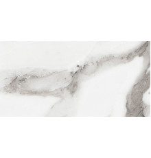 Origines De Rex Argent Glossy 30x60