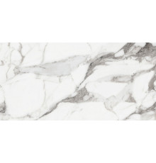 Origines De Rex Argent Matte 60x120