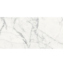 Origines De Rex Blanc Matte 60x120