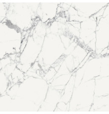 Origines De Rex Blanc Matte 6mm 120x120