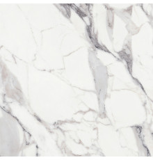 Origines De Rex Argent Glossy 6mm 120x120