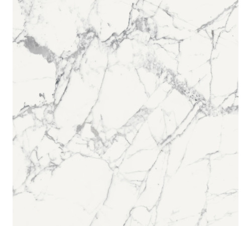 Origines De Rex Blanc Glossy 6mm 120x120
