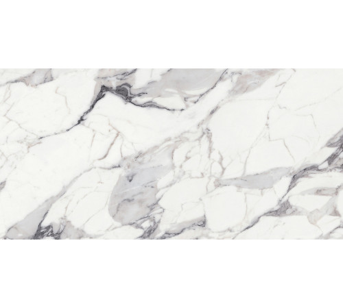 Origines De Rex Argent Matte 6mm 120x240