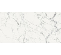 Origines De Rex Blanc Matte 6mm 120x240