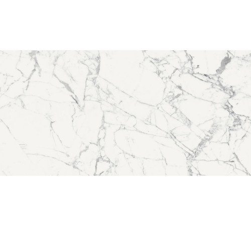 Origines De Rex Blanc Glossy 6mm 120x240