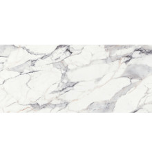 Origines De Rex Argent Matte 6mm 120x280