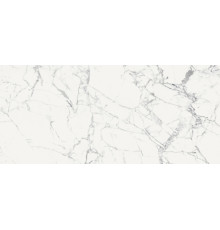Origines De Rex Blanc Glossy 6mm 120x280