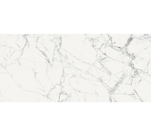 Origines De Rex Blanc Glossy 6mm 120x280