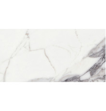 Origines De Rex Argent Matte 6mm 60x120