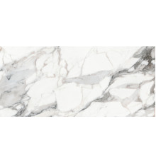 Origines De Rex Argent Glossy 80x180