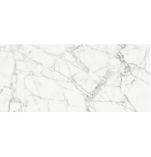 Origines De Rex Blanche Glossy 80x180