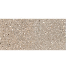 Match Up Cerim Cookie Mix Glossy 6 Mm 60x120