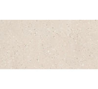 Earthtech Pumice Flakes Glossy 9 Mm 60x120