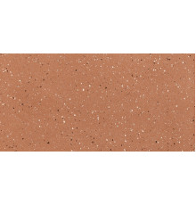 Earthtech Outback Flakes Glossy 9 Mm 60x120