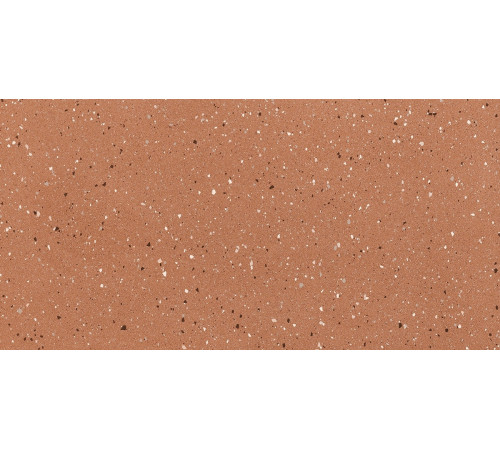 Earthtech Outback Flakes Glossy 9 Mm 60x120