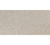 Earthtech Desert Flakes Glossy 9 Mm 60x120