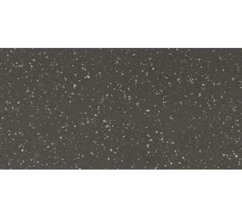Earthtech Carbon Flakes Glossy 9 Mm 60x120