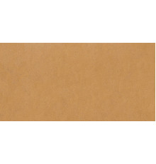 Earthtech Savanah Ground Ptv 9 Mm 60x120