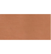 Earthtech Outback Ground Ptv 9 Mm 60x120