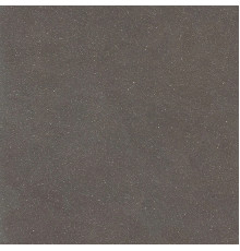 Earthtech Carbon Ground Ptv 9 Mm 60x60