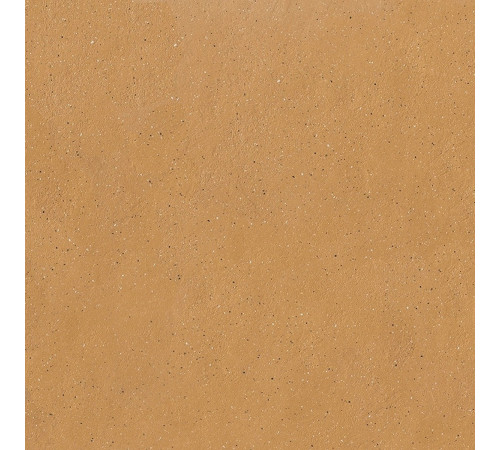 Earthtech Savannah Ground Ptv 9 Mm 60x60