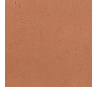 Earthtech Outback Ground Ptv 9 Mm 60x60