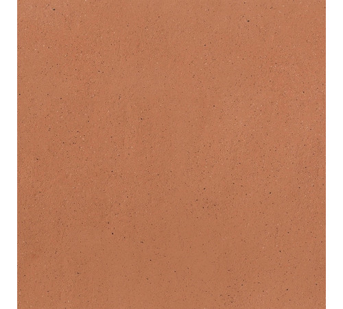 Earthtech Outback Ground Ptv 9 Mm 60x60