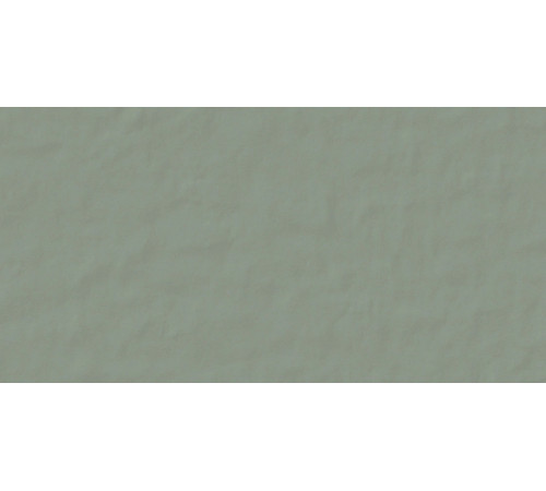 Neutra 6.0 09 Oliva 6 Mm 60x120