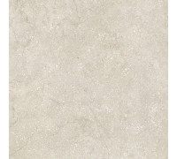 Stone Life Shell 9 Mm 60x60