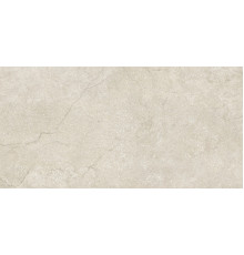 Stone Life Shell 9 Mm 60x120