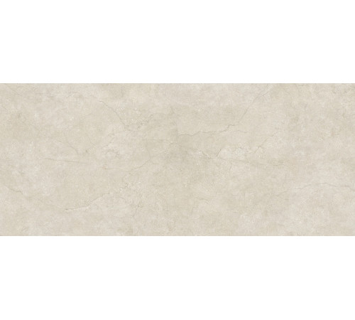 Stone Life Shell 6 Mm 120x280