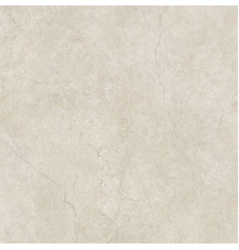 Stone Life Shell 6 Mm 120x120