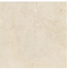 Biotech Crema Stone R+Ptv 9 Mm 120x120