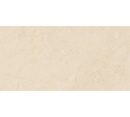 Biotech Crema Stone R+Ptv 9 Mm 60x120