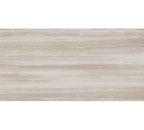 Biotech Stonewood R+Ptv 9 Mm 60x120