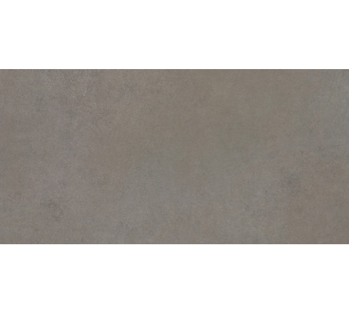 Easy Life Grey Salt Matte 60x120