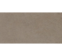 Easy Life Caffe Latte Silk Matte 30x60