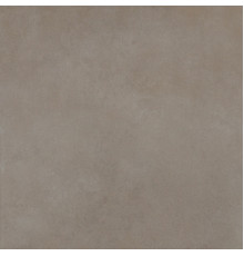 Easy Life Grey Salt Matte 120x120