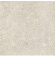 Stone Life Shell Matte 80x80