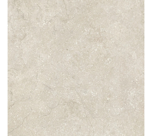 Stone Life Shell Matte 80x80
