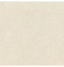 Обои Rasch Настенные Структуры (Wall Textures Xl Iii) 1.06x10.05