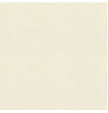 Обои Rasch Gentle Elegance 1.06x10.05