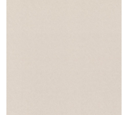 Обои Rasch Gentle Elegance 1.06x10.05