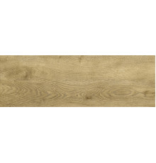 Italian Wood Honey Str. 20x60