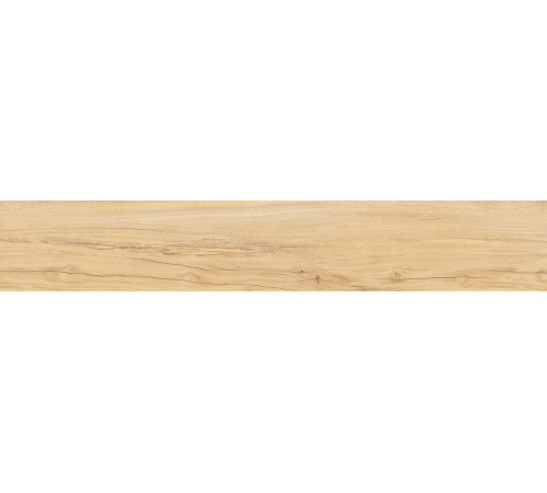 Alleya Honey Str. 20x120
