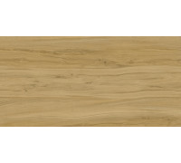Alleya Brown Str. 60x120