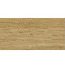 Alleya Brown Str. 60x120